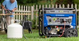 Best Dual Fuel Generator